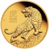 TIGRE 1/4