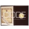 CAN 13.3G 1992 100USD